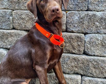 Biothane Martingale Dog Collar