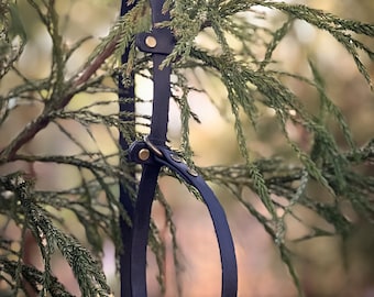 BioThane Slip Lead