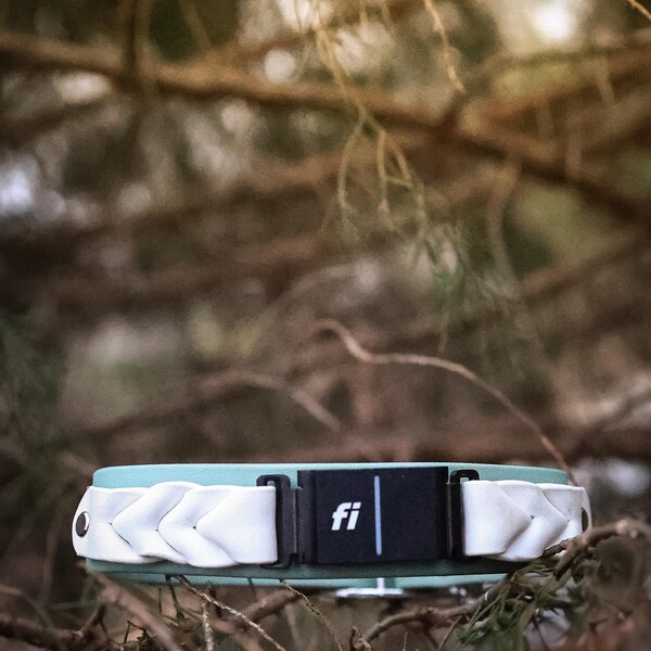 Fi Halsband taugliches geflochtenes Biothane Halsband