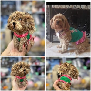 Personalisiertes Haustier, gehäkelter Hund, gefüllter Hund, gehäkelter Hund, personalisierter Hund, Geschenk für Hund, gehäkeltes Tier