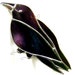 Owner of <a href='https://www.etsy.com/shop/GothicGlassStudio?ref=l2-about-shopname&from_page=listing' class='wt-text-link'>GothicGlassStudio</a>