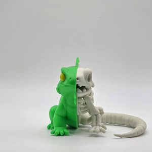Half-Anatomy Iguana Figure – Bold Creature Display