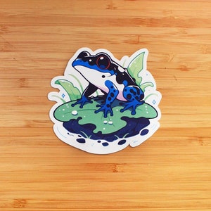Sticker Grenouille Dendrobate | Sticker à offrir, sticker bouteille d’eau, sticker smartphone, sticker journal, sticker kindle