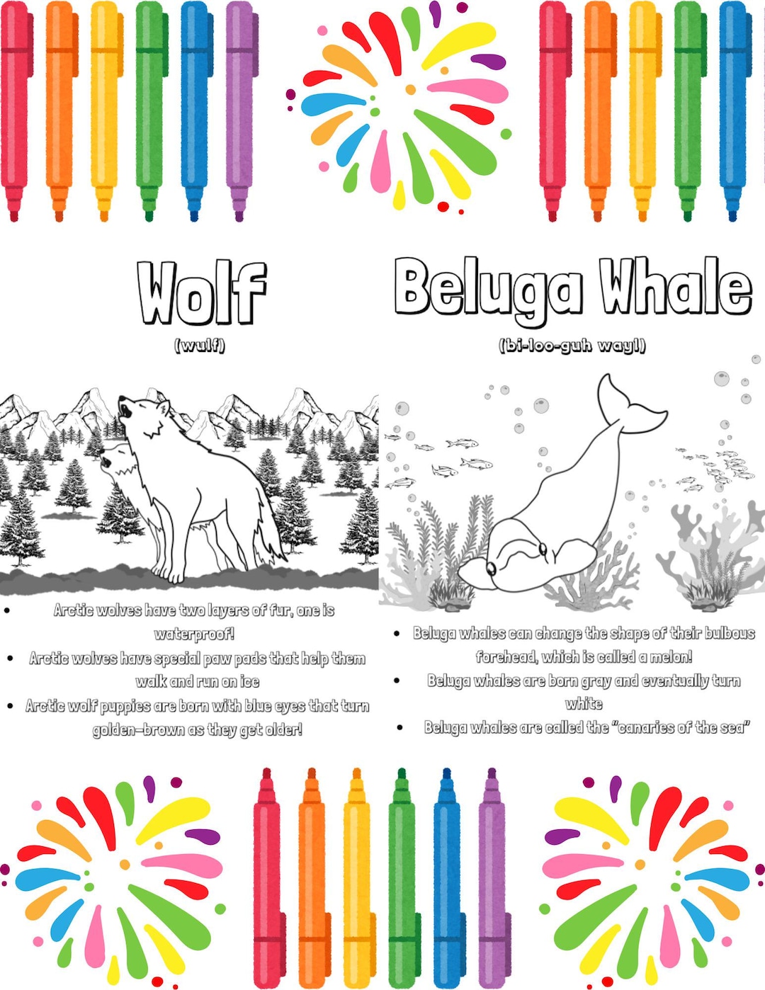 Arctic Animals Coloring Book | Facts and Fun for Kids! | Educational ...