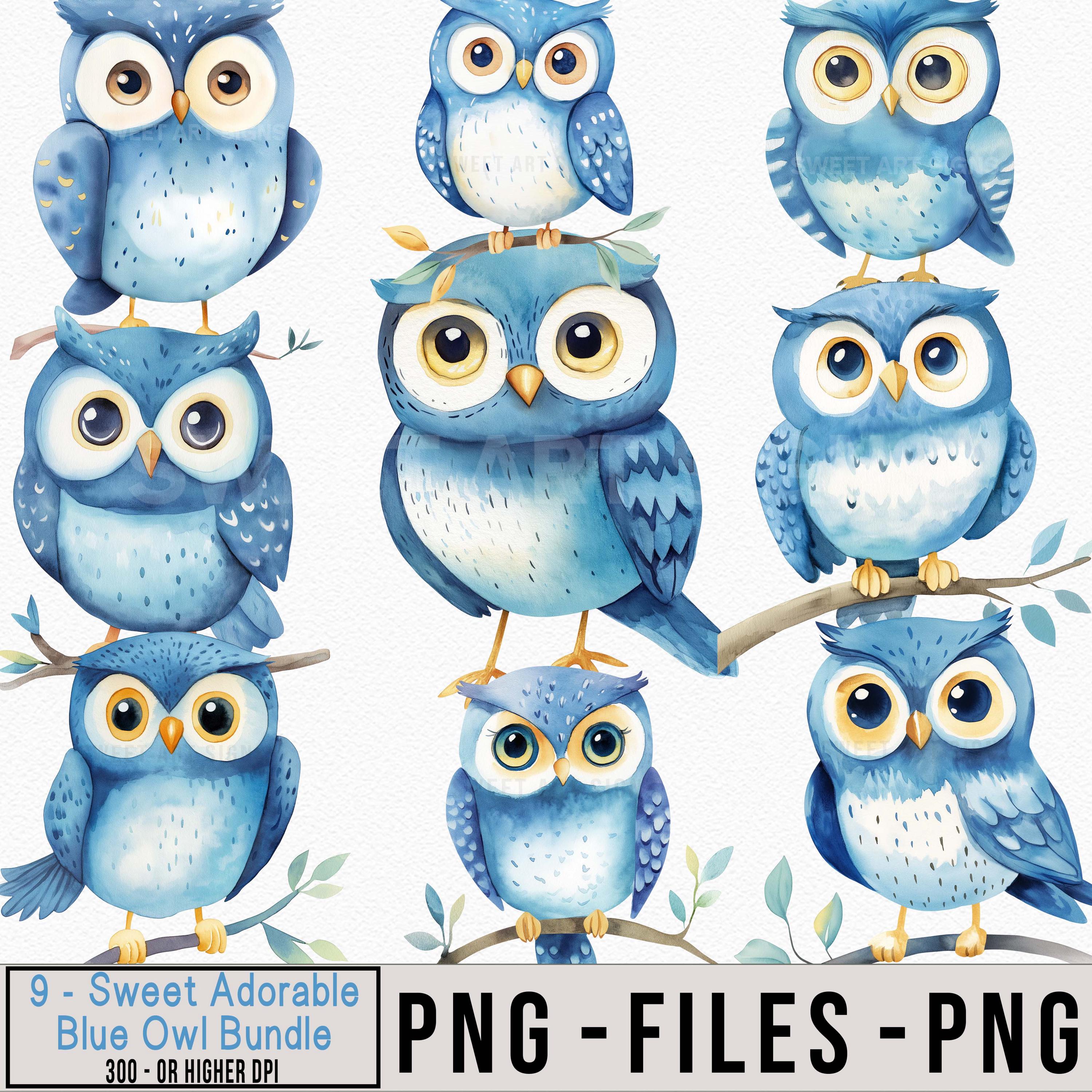 Owl Watercolor PNG Clipart, Whimsical Cute Owl Illustration,  Sublimation, Nursery Art, Invitations,