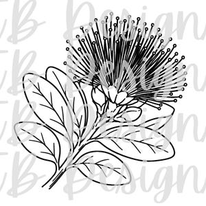 May include: A black and white line art illustration of a pohutukawa flower with its characteristic long stamens and rounded leaves. The design features the repeating watermark text TB Designs overlaid across the entire image in a light gray font.