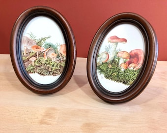 May include: Two oval wooden picture frames with dark brown wood and a black inner border. Each frame contains a vintage illustration of mushrooms in a forest setting.