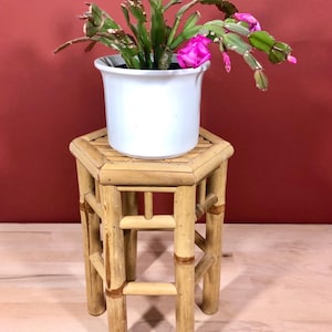 Puede incluir: Una maceta de cerámica blanca con una planta de cactus verde con flores rosas se encuentra sobre un soporte hexagonal de bambú.