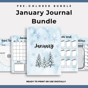 Paquete de diario de enero - Copos de nieve de invierno - Páginas de diario imprimibles / Páginas de bullet journal Páginas de planificador de enero precoloreadas preparadas