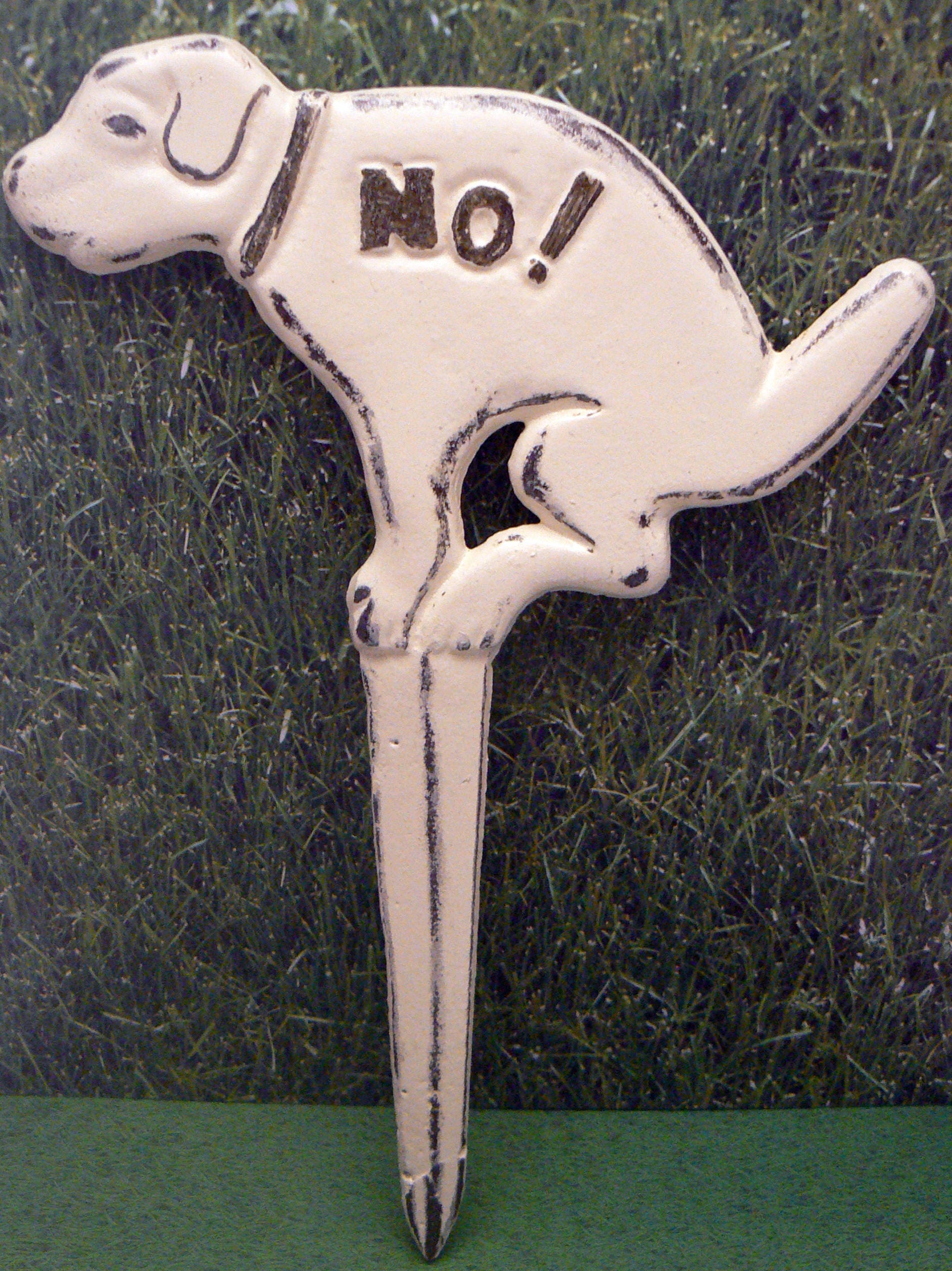 How To Stop Dog Pooping On Patio