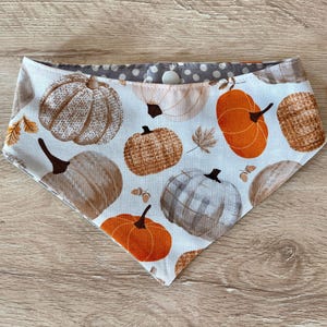 May include: A reversible pet bandana featuring a fall-themed pumpkin pattern. The bandana has a white background with various pumpkins in shades of orange, brown, and gray. The reverse side has a gray polka dot pattern. It is secured with a white snap.