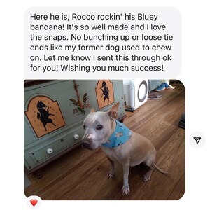 May include: A tan and white dog wearing a blue bandana with a pattern of cartoon dogs. The dog is sitting on a wooden floor. Text above the image reads, "Here he is, Rocco rockin' his Bluey bandana!"