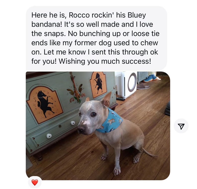 May include: A tan and white dog wearing a blue bandana with a pattern of cartoon dogs. The dog is sitting on a wooden floor. Text above the image reads, "Here he is, Rocco rockin' his Bluey bandana!"