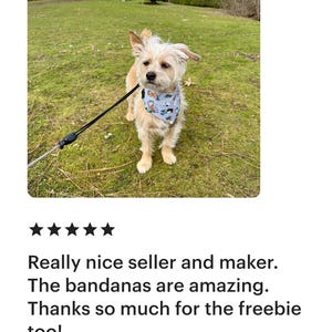 May include: A small, light-colored dog wearing a blue bandana with a cartoon design, attached to a leash. The dog stands on green grass in an outdoor setting. The image includes a customer review.