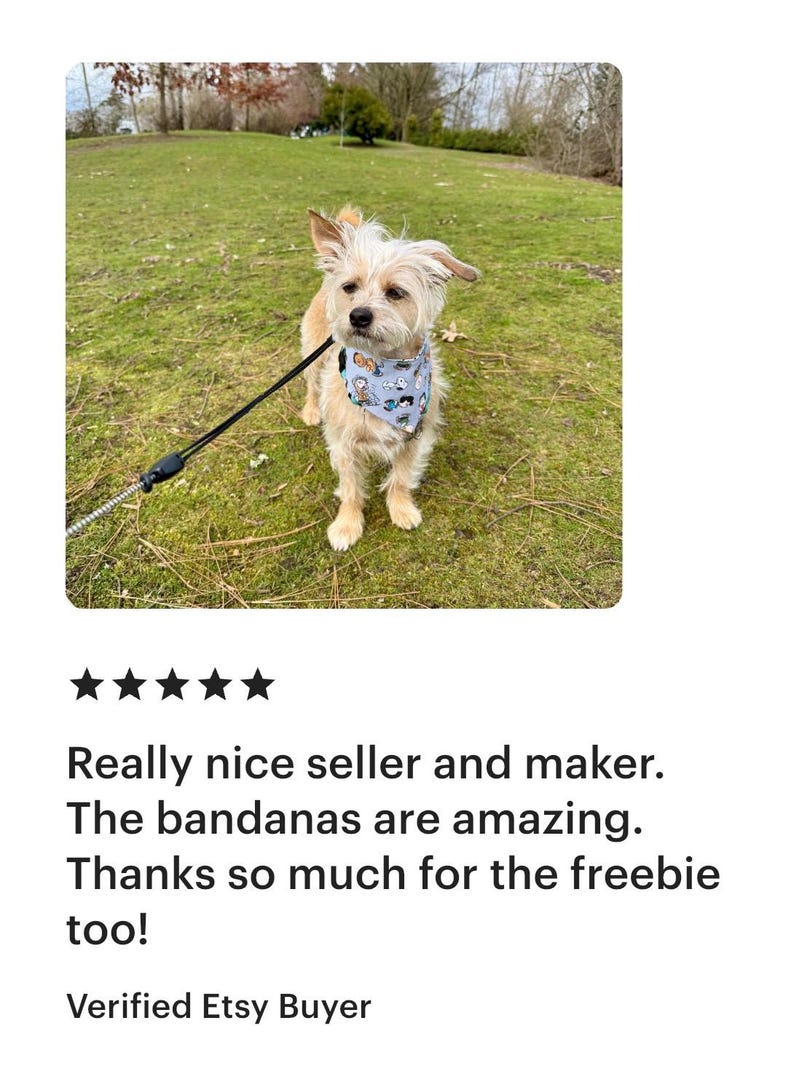 May include: A small, light-colored dog wearing a blue bandana with a cartoon design, attached to a leash. The dog stands on green grass in an outdoor setting. The image includes a customer review.