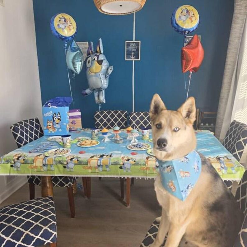 May include: A dog wearing a blue bandana sits in front of a table set for a party. The table is covered with a tablecloth featuring cartoon characters. Balloons and party decorations are visible, including a Bluey-themed gift bag and plates.