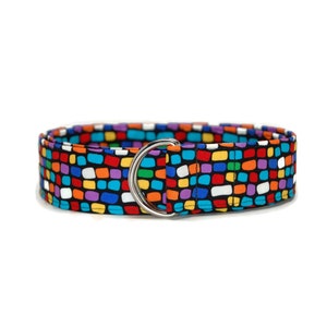 Colorful Rainbow Belt - Funky Color Blocks with Adjustable D-Ring Fabric Belts - Adult Youth and Toddler You Pick The Perfect Size