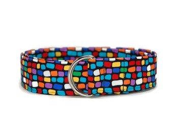 Colorful Rainbow Belt - Funky Color Blocks with Adjustable D-Ring Fabric Belts - Adult Youth and Toddler You Pick The Perfect Size