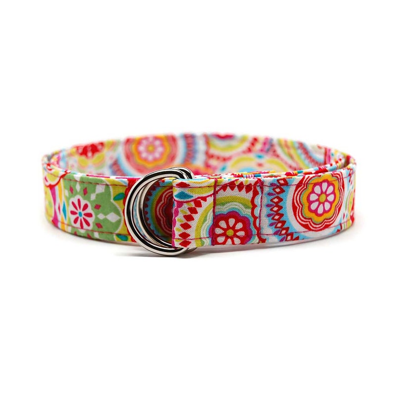 designer canvas belt