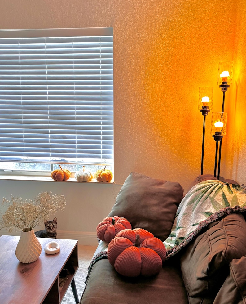 May include: A brown couch with a green and white throw blanket and two orange knitted pumpkin pillows. A floor lamp with three lights is in the background.