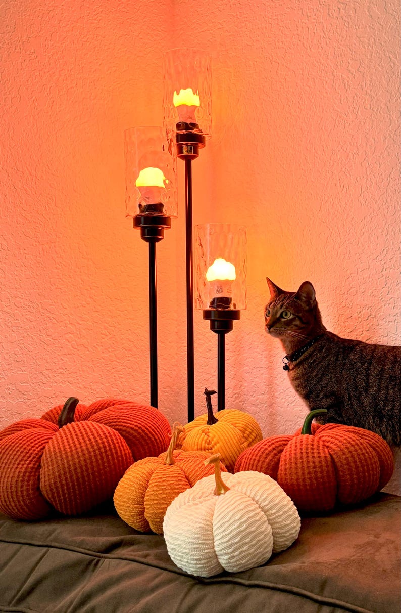 May include: Four corduroy pumpkins in orange, white, and yellow with a cat looking at them. The pumpkins are sitting on a brown surface in front of a candle holder with three lit candles.