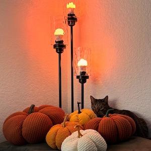 May include: A group of five plush pumpkins in orange, yellow, and white, with a cat peeking out from behind them. The pumpkins are arranged on a dark gray surface, with three black metal candle holders with clear glass shades and lit bulbs in the background.