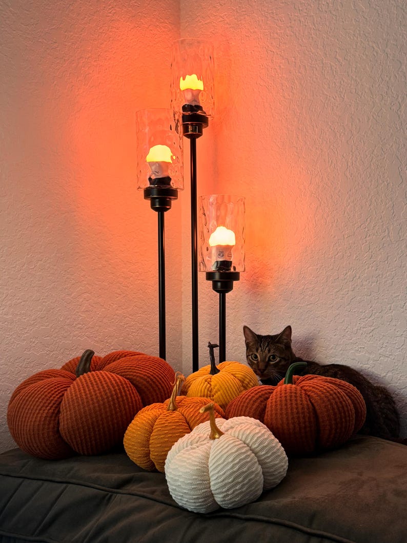 May include: A group of five plush pumpkins in orange, yellow, and white, with a cat peeking out from behind them. The pumpkins are arranged on a dark gray surface, with three black metal candle holders with clear glass shades and lit bulbs in the background.