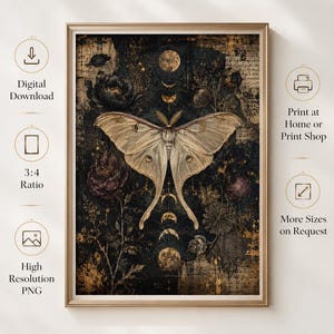 Puede incluir: Una l&aacute;mina de arte enmarcada que presenta una gran polilla p&aacute;lida centrada sobre un fondo oscuro y texturizado con detalles dorados. La composici&oacute;n incluye elementos florales oscuros, una secuencia vertical de fases lunares y texto de estilo antiguo.