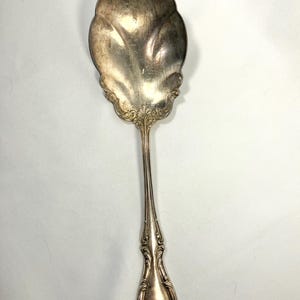 May include: Silver serving spoon with an ornate, scalloped bowl and a long, decorative handle. The spoon has an antique appearance, with intricate floral detailing along the handle and bowl edges. The spoon is likely used for serving food.