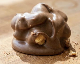 May include: A single milk chocolate cluster with a smooth, glossy finish and irregular, rounded mounds. A small, light-colored nut piece is partially visible, protruding from the center of the chocolate coating, with a tiny nut fragment nearby.