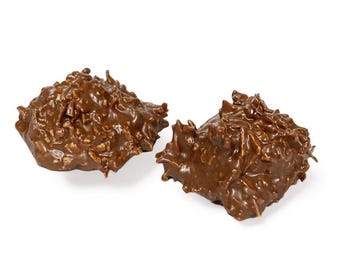 May include: Two chocolate clusters with a glossy, textured surface. The treats are a rich brown color and appear to be coated in chopped nuts or coconut flakes. The background is plain white, highlighting the details of the confection.