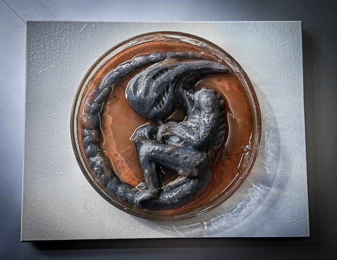 Alien Embryo in Petri Dish Sci-fi Prop Collectible - Etsy