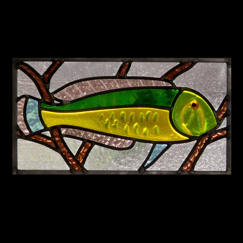 Curiouser fish 1 Stained Glass Panel Etsy
