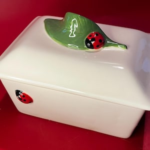 May include: An off-white ceramic container with a lid, decorated with a green leaf and a red ladybug with black spots. Another ladybug is on the side. The container sits on a red surface.