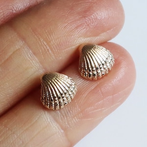 May include: A pair of gold-toned seashell stud earrings. The earrings are small and delicate, with a detailed design.