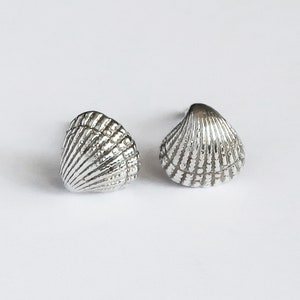 May include: A pair of silver shell-shaped earrings. The earrings are small and delicate, and they have a textured surface.
