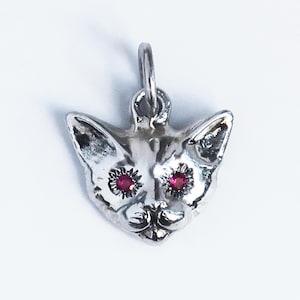 Può includere: Un ciondolo a forma di gatto in argento con occhi di gemme rosse. Il ciondolo presenta dettagli di orecchie, naso e bocca. C'è un anello nella parte superiore per una catena. Il ciondolo a forma di gatto è un gioiello.