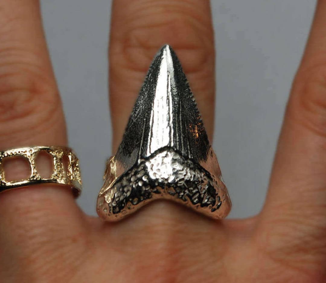 Shark tooth best sale ring