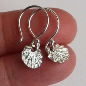 May include: A pair of silver earrings with a seashell design. The earrings are small and delicate, and they have a simple, elegant style.