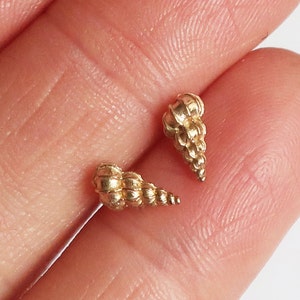 May include: A pair of gold-colored seashell-shaped earrings. The earrings are small and delicate, with a textured surface.