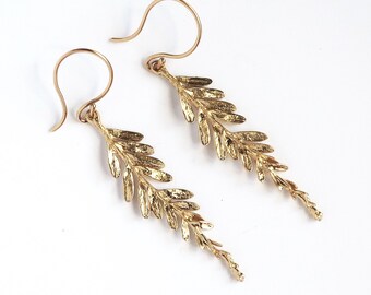 ANIMALS, BIRDS, NATURE