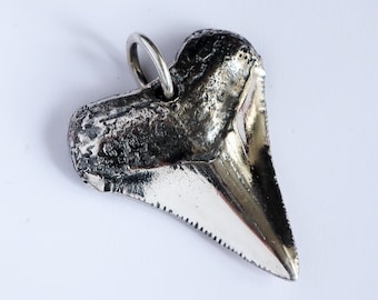 Megalodon Shark Tooth Sterling Silver Pendant