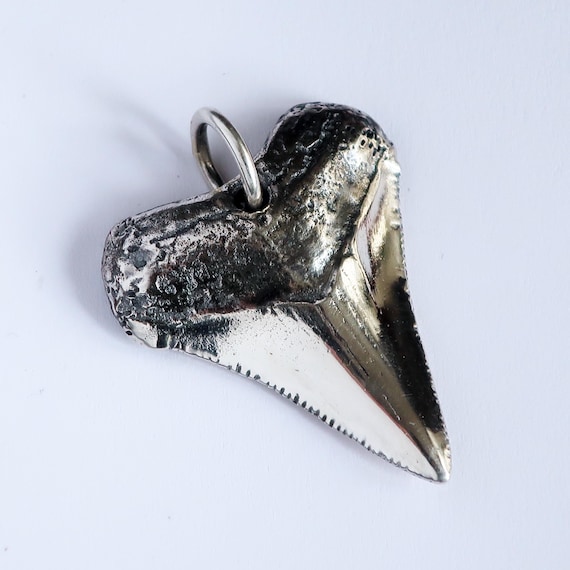 Megalodon Shark Tooth Sterling Silver Pendant