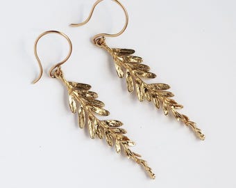 Gold Tone California Coastal Redwood Branch Earrings-Brass with gold filled ear wires