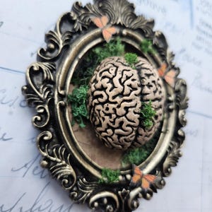 Puede incluir: Un marco ornamentado de estilo antiguo, dorado, rodea un modelo de cerebro esculpido. El cerebro es beige con grietas oscuras, anidado entre musgo verde. Dos mariposas naranjas están fijadas al marco, creando una pieza artística única.