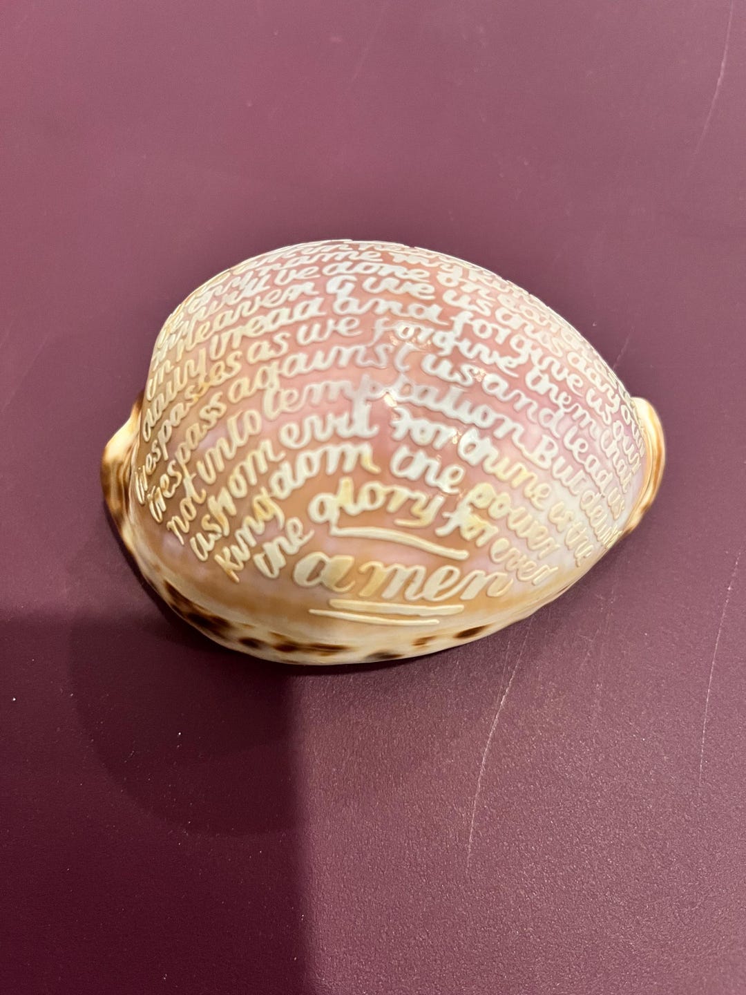 Victorian 19th Century Cowrie Shell Lord's Prayer Carved Bas Relief C ...