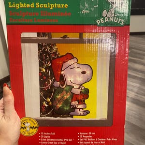 Vintage style snoopy lighted decor