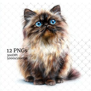 Cat Breeds Bundle Clipart,Cat Png, Cat Printables,Cat Clipart,Cat Breeds png,Cat lover, Junk Journaling, Printable Clipart,Cute Cats Clipart