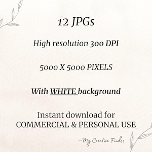 papar craft, clipart bundle, watercolor clipart, scrapbook images, digital clipart, clipart pack, digital crafting, reindeer clipart, watercolor deer, christmas card deer, santa deer clipart, christmas png,