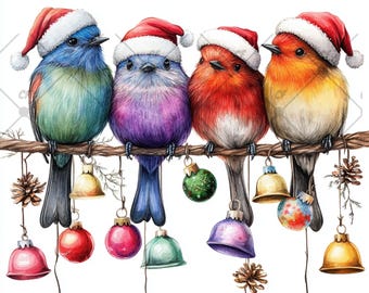 Christmas Birds Clipart PNG Bundle, Commercial Use,Watercolor Winter Bird Cliparts Winter Cliparts Whimsical Bird PNGs